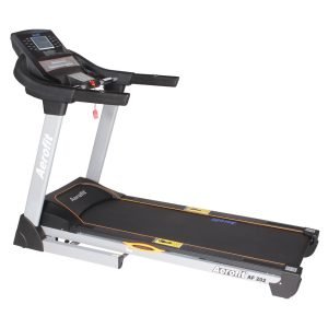 AF 202 Motorized Incline Treadmills (AC motor)