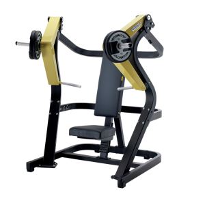 Chest press & Seated puller